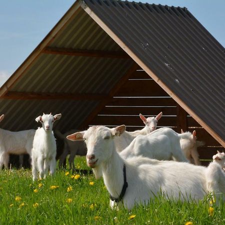 Farma Klinec Villa Eksteriør billede