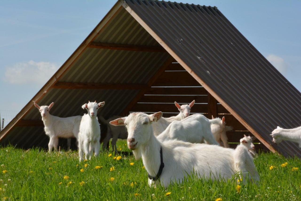 Farma Klinec Villa Eksteriør billede
